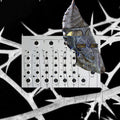 1RO005 - VA - V /A