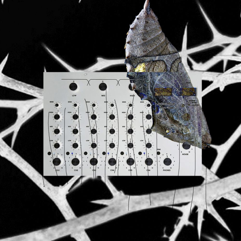 1RO005 - VA - V /A