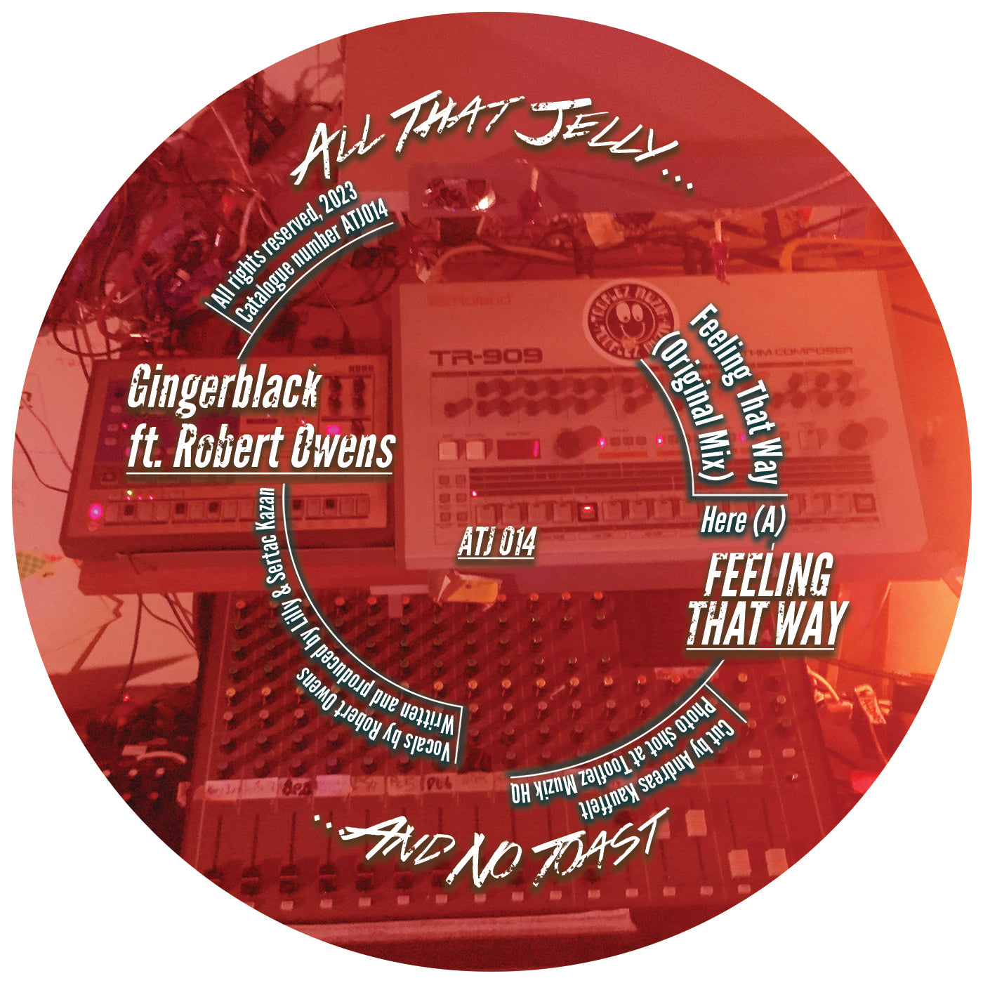 Feeling That Way (incl. Jakob Seidensticker & MELINA Remix) - Gingerblack ft. Robert Owens