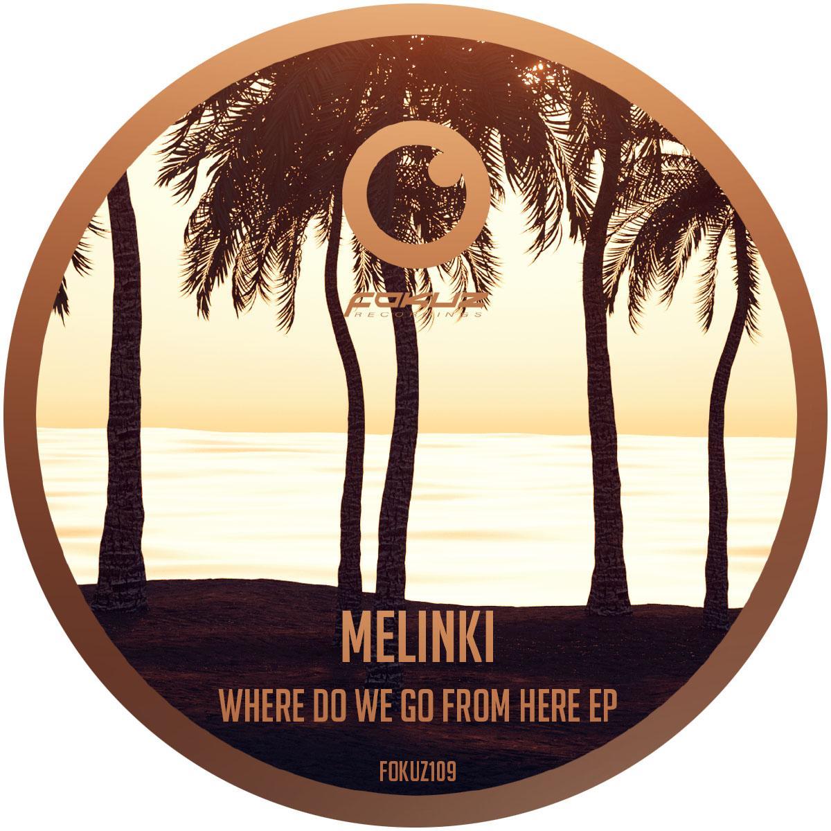 Where Do We Go From Here EP [label sleeve / DISCOUNT] - Melinki