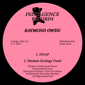 DETACHMENT EP - RAYMOND OWEN