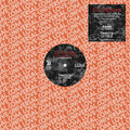 LP Sampler - DJ Nature
