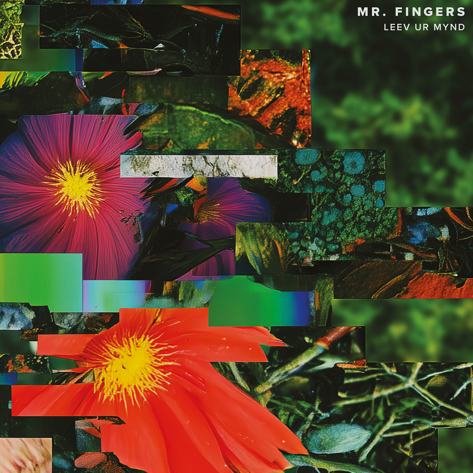 Leev Ur Mynd - Mr. Fingers