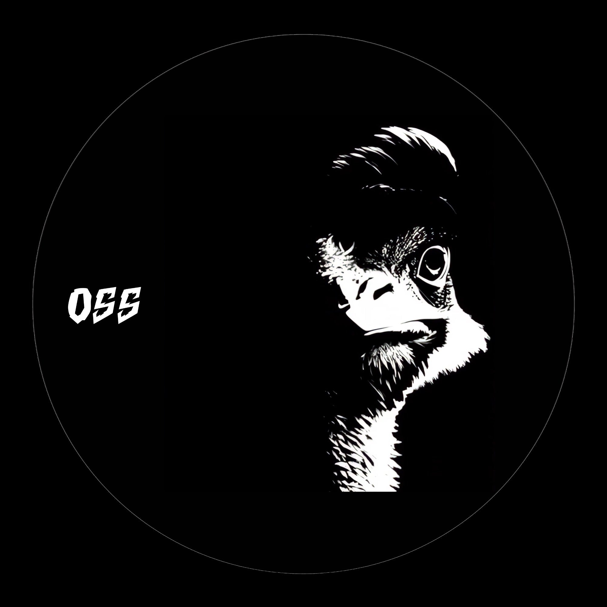 OSS002 - Unknown Artist