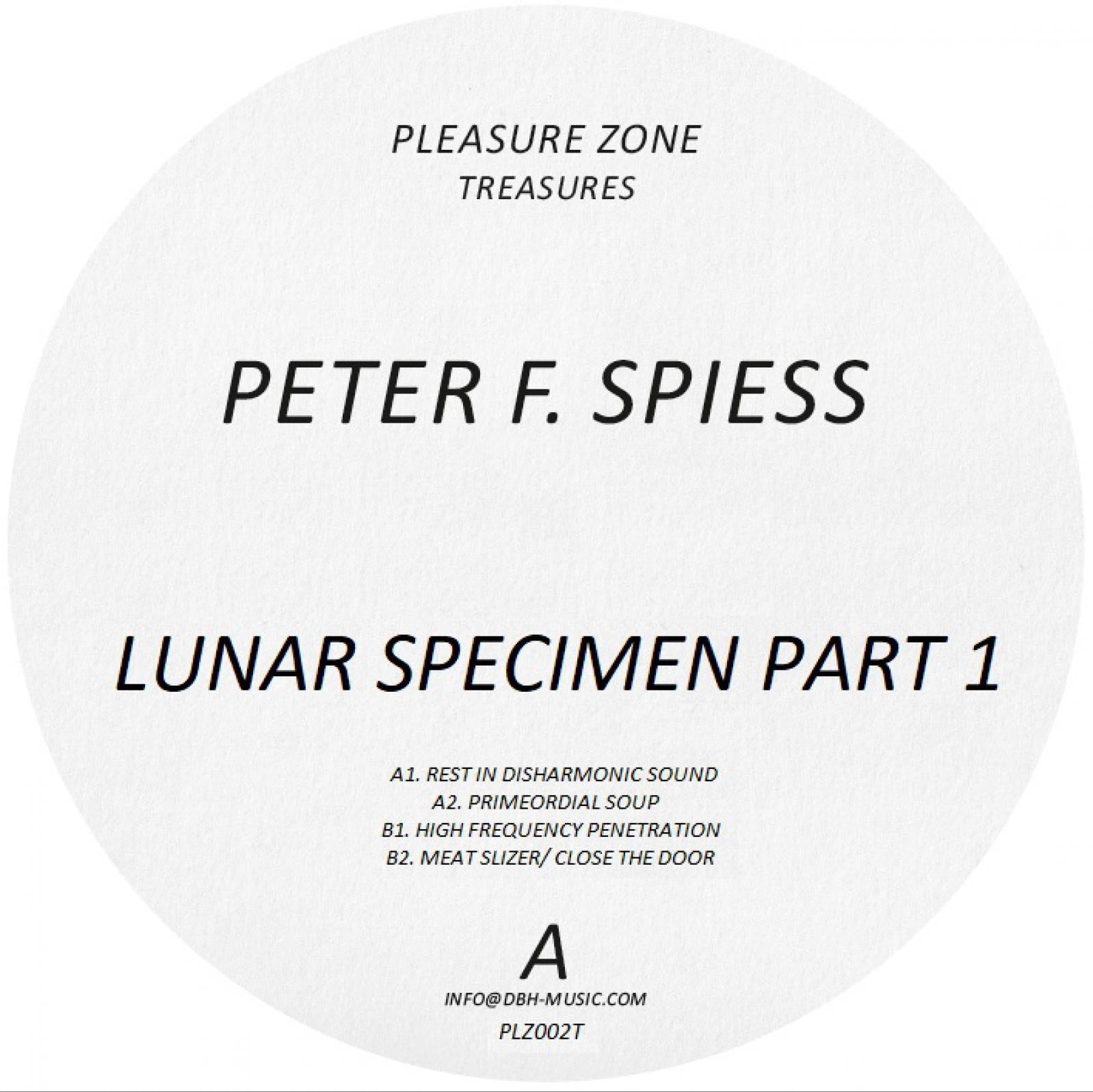Lunar Specimen Part 1 - Peter F. Spiess