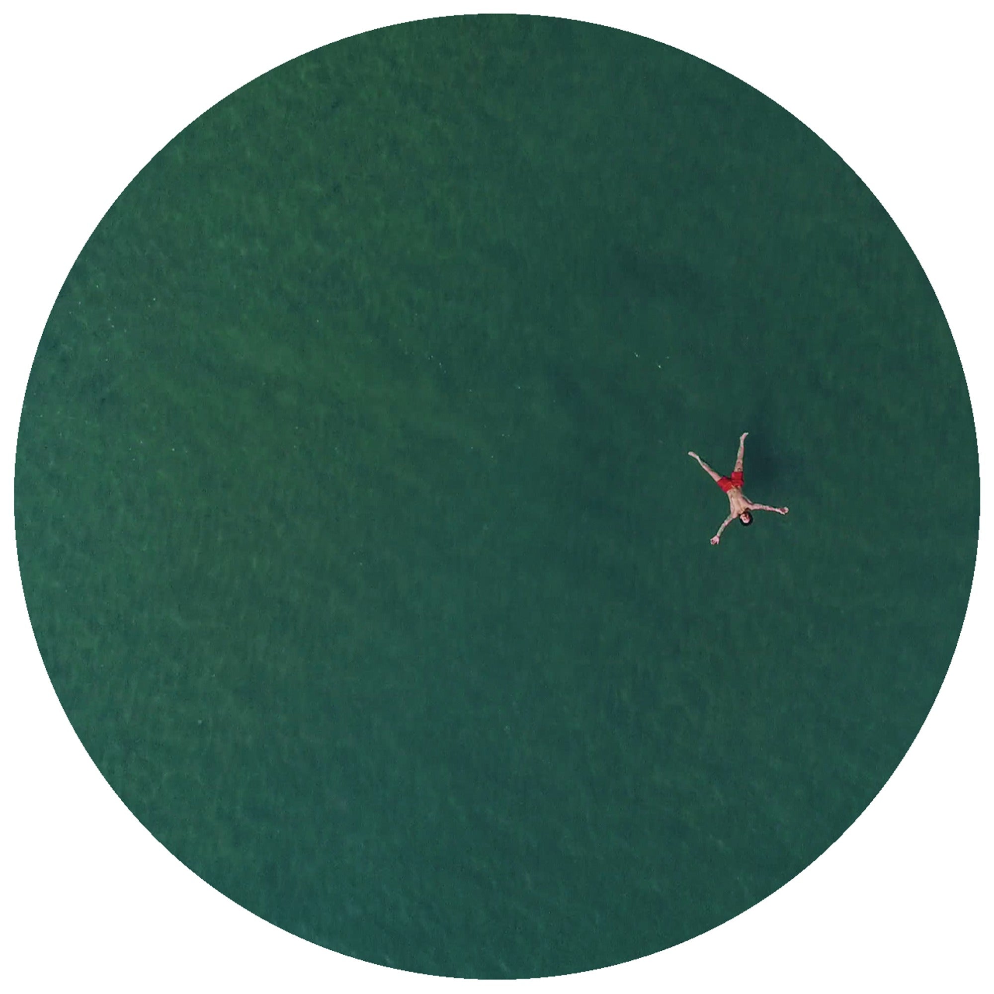 Cola Beach/Dolphin Splash Keyboards (2026 repress) - Youandewan