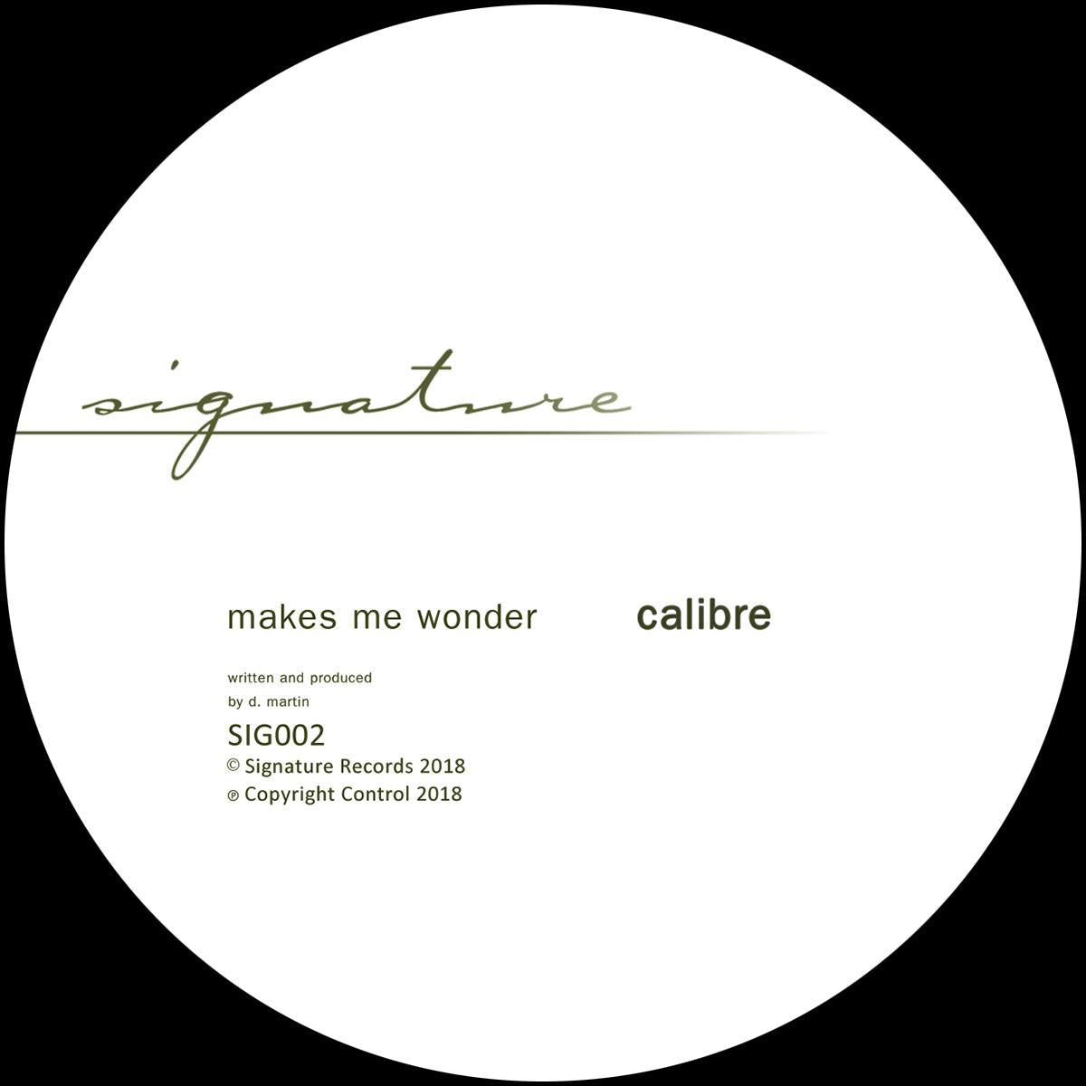 Makes Me Wonder / Got To Have You [2019 remastered version] - Calibre
