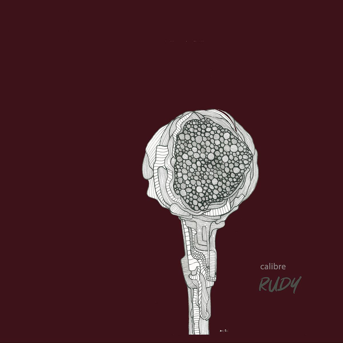 Rudy [printed Sleeve / inc. download code] - Calibre