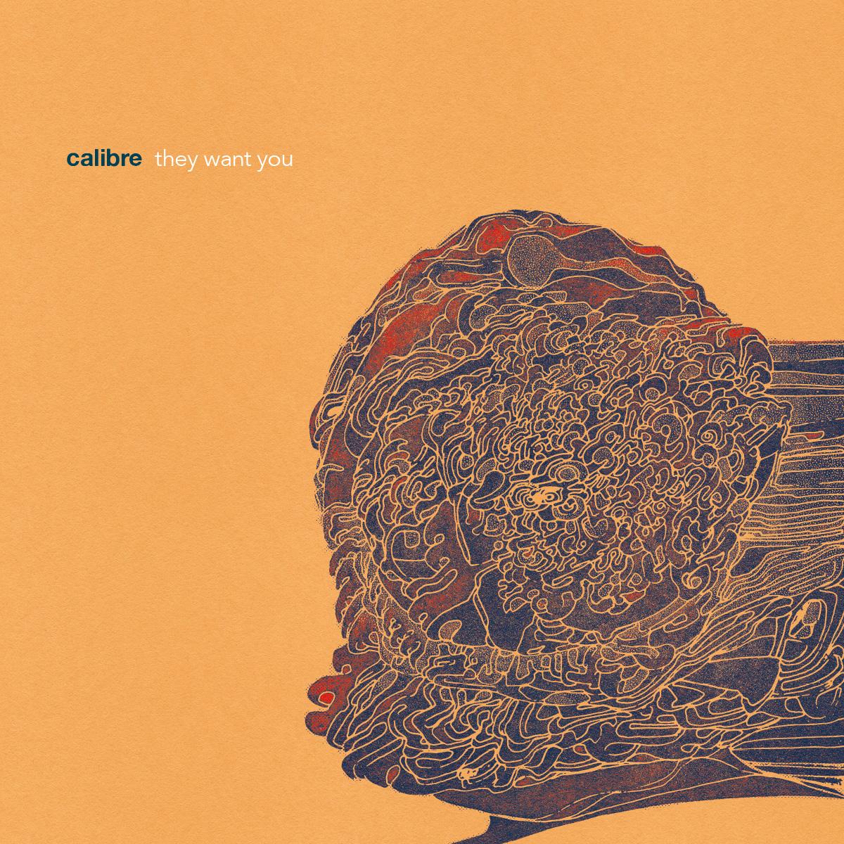 They want you [printed sleeve / incl dl code] - Calibre