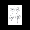 Poppies - Lawrence