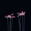 The Puppeteer / Emergency - 