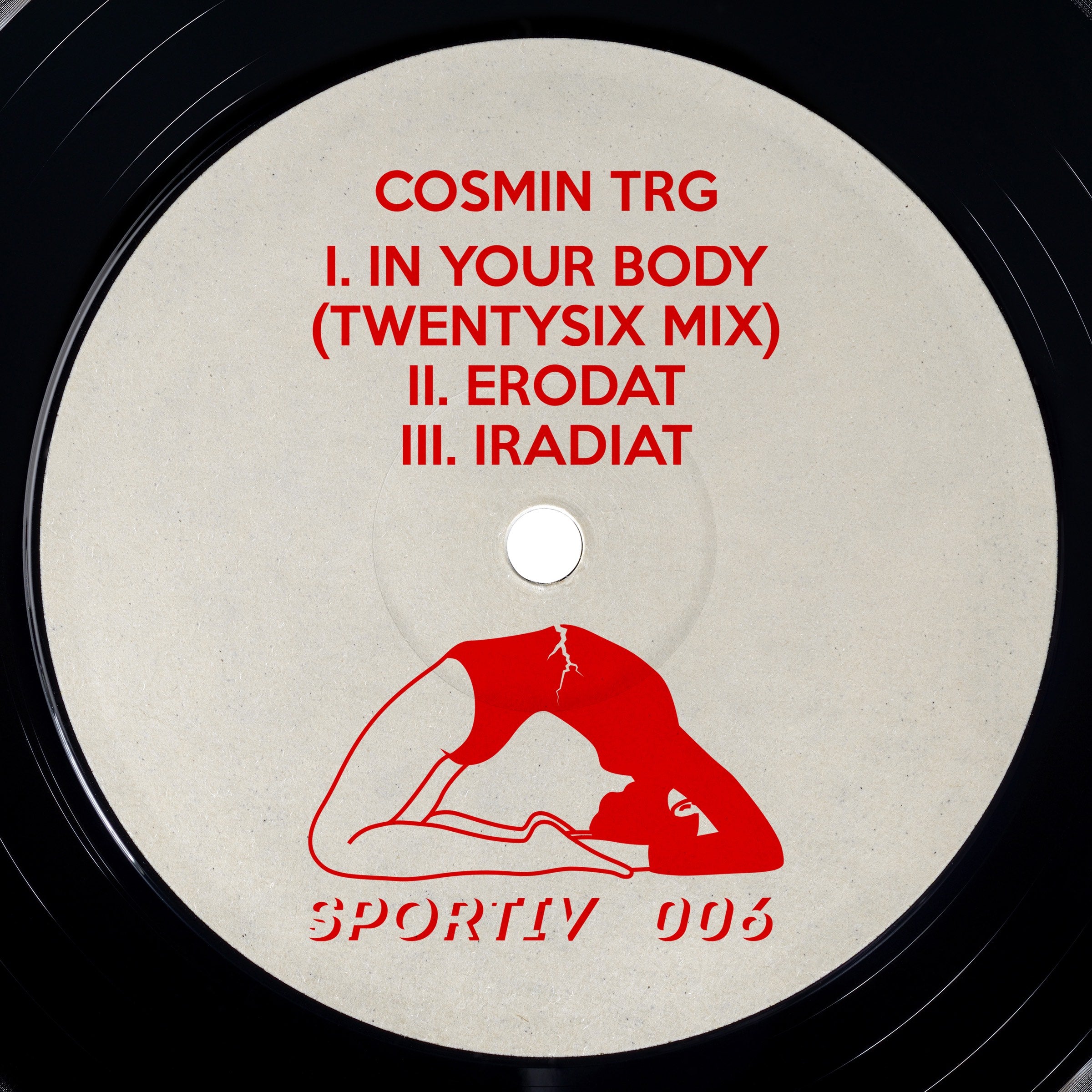 IN YOUR BODY (TWENTYSIX MIX) - Cosmin TRG