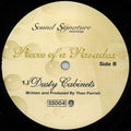 PIECES OF A PARADOX - THEO PARRISH