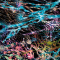 THE REMEDY - LCSM (LIKWID CONTINUAL SPACE MOTION)