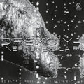Neptune‘s Lair (2LP, 2026 Repress) - Drexciya